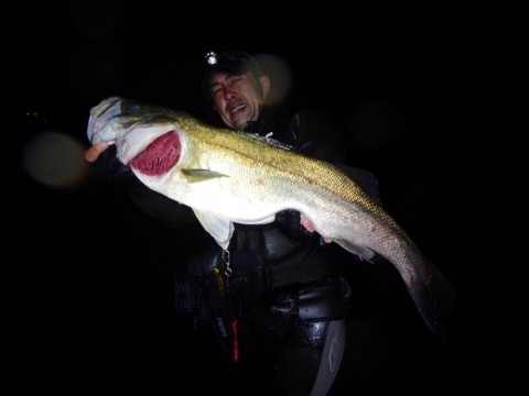 s6oxuw8kp956rv35hr2s_920_690-1059fb36.jpg