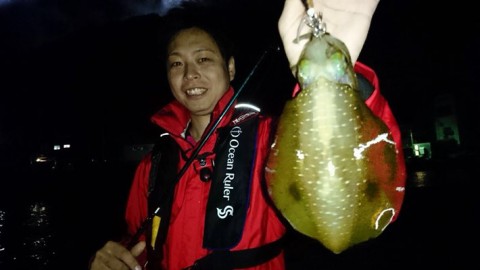 s6ui5ymfdr2nawarmucb_480_270-fa736602.jpg