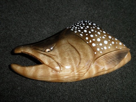 s778urajfnegahir9vw3_480_480-62f01f84.jpg