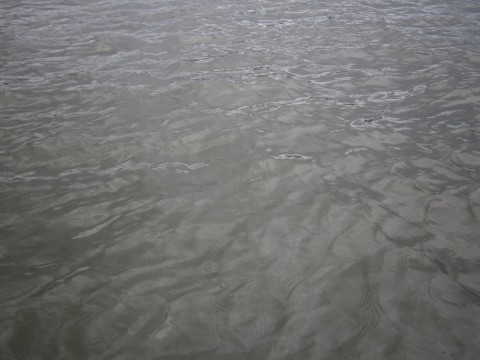 s79ukdvjxf6z67kg8n46_480_480-d84143aa.jpg