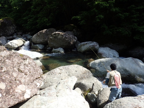 s7cbr782wtd8j84o7bp9-4d0230bd.jpg
