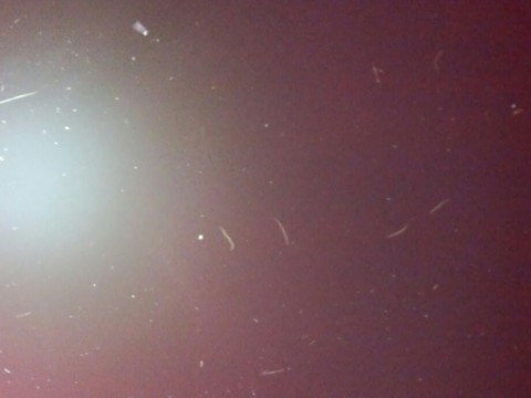 s7op92xj6d3ek8r87mzo_920_690-c9d7f93e.jpg