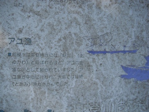 s84ky9vkp6yc5j395fn2_480_480-60b2ee78.jpg