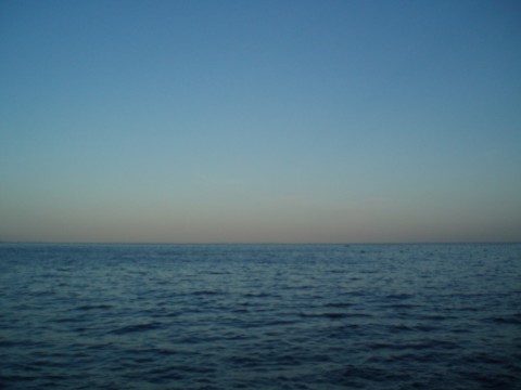 s876tifhd7w9s7tvf2f2_480_480-7e8bb017.jpg