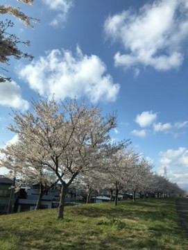 s8b63k7o6os3exr3jp5f_361_480-aaee7b71.jpg