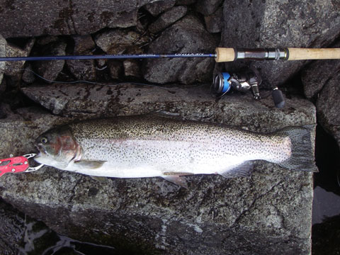 s8j6bf3sx6jk7642w5dd-adabb655.jpg