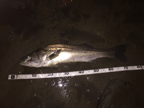 s8kbnrviywx23ax49xpr_920_690-684fb055.jpg