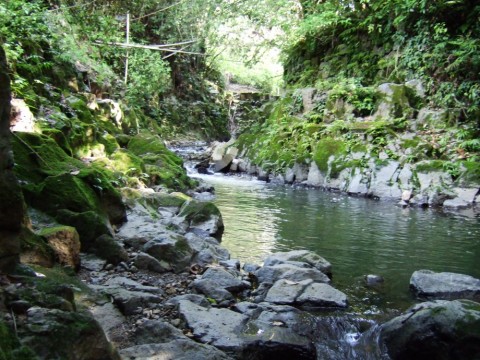 s8ndjyjbdg6cvijgovnk_480_480-f9d37788.jpg