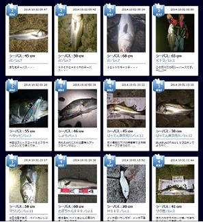 s8sawk4gyg5zp9unzamf-3a85523a.jpg