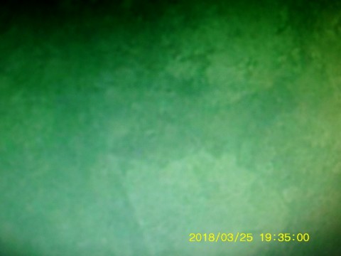 s8zp5h7b97trwarj49ze_480_480-cec412cd.jpg