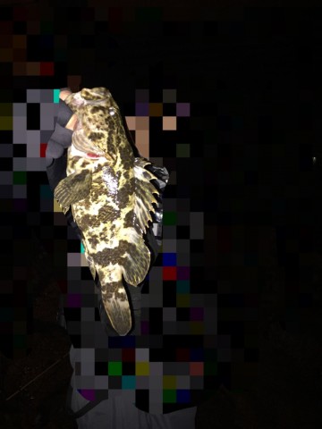 s9pgkwg2j2erov2ncpb8_690_920-6eb5fb6d.jpg