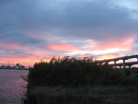 sUeKAvEAcuVs55uMQRh3_480_480-19c54c76.jpg