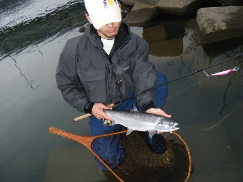 sadgjb9k8zhjbnumu5k3_480_480-2c347daa.jpg