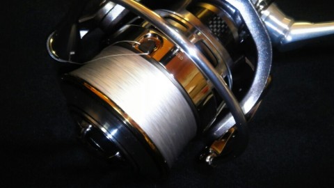 saoyscfx8py5x7xzm46j_920_518-20978f18.jpg