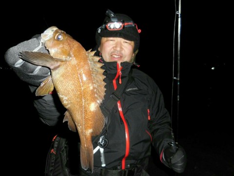 sayjax87gpv4eurur6rc_920_690-0fd4e441.jpg