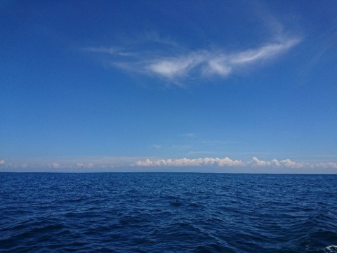 sayyf6bhoyojczunuw3u_920_690-089a607f.jpg
