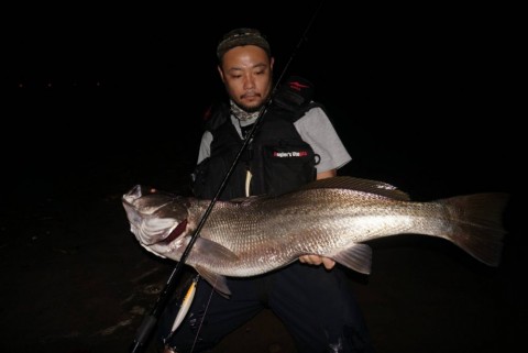 sb6xgre2ws5kysz5vf8o_480_480-47011dde.jpg