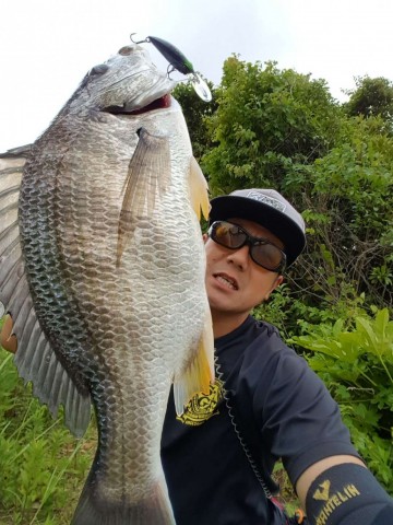 sbbntgeya386bmkceget_480_480-0f33a1a0.jpg