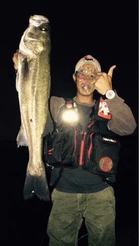 sbg6tnrfk4sinawhm9x7_519_920-79655c14.jpg