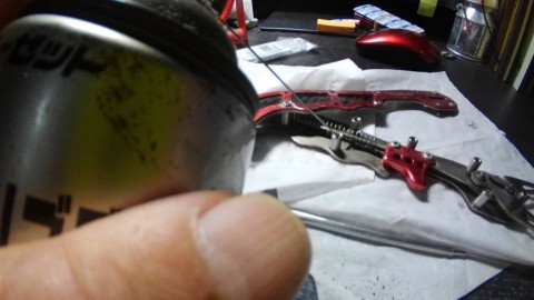 sbg782w39vy8xewgv963_480_480-da9452ea.jpg