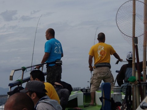sbh8f279st9w5b8e2ku6_480_480-f538226d.jpg