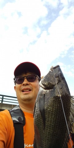 sbky2ngzdkb9mnx6gdf5_480_480-3d0081ae.jpg
