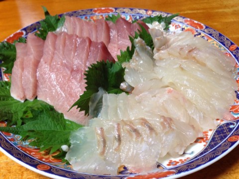 sbpnm2jiuv3nsy9tdgbj_480_480-c862d803.jpg