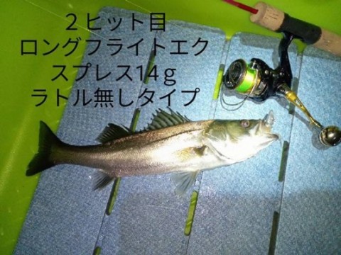 sbpp9f83yco8mk6wp37r_480_360-901d4917.jpg