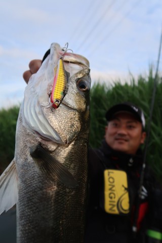 sd6k2ds9ax3auwc4bdte_480_480-b16453e1.jpg