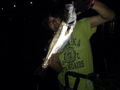 sdb6y8rnfduibnw5acyc_920_690-5dcd2f22.jpg