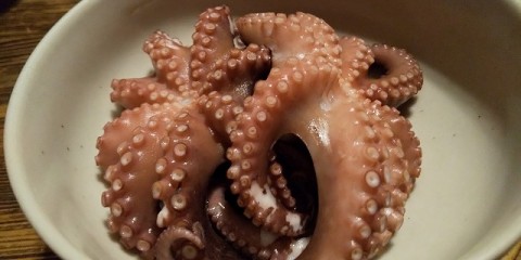 sdgyxa9zbbhwxff93976_480_480-c19a268e.jpg