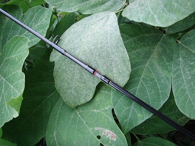 sdk2jc7x6nudjgmiu4d2-7f82dbe4.jpg