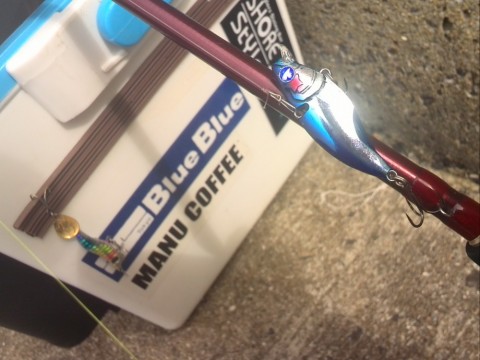 sdzc9h8hmnmixgiybxei_480_480-25309140.jpg