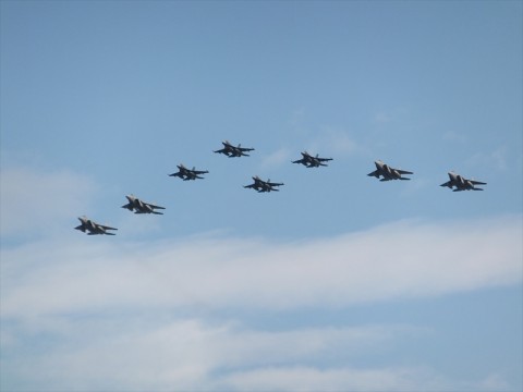 sebwm6bv544dziv2zvnr_480_480-d8cac678.jpg
