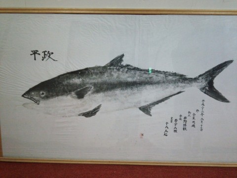 seea4pfjsjrkezecgddk_480_480-6bb643ea.jpg