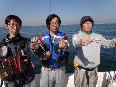 seextr7wn6v5cdcat7xm_480_480-6a8629dc.jpg