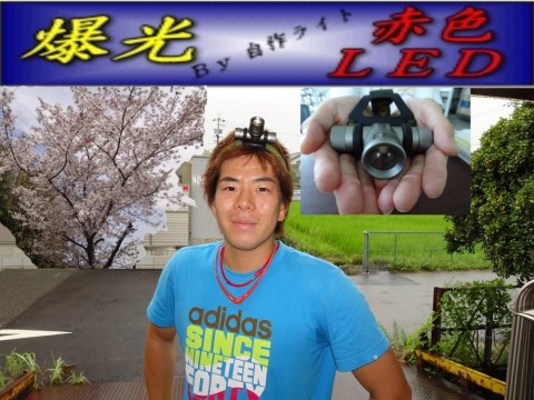 segozirxi6abyz3zacxi_480_480-3ef78e6d.jpg