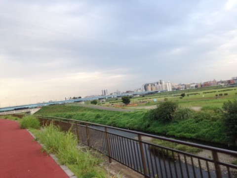 setppuny8efo2r8h9h7w_480_480-7bb75a4e.jpg
