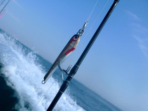 seukagg3b23fr5wza87v_480_480-3f2a6236.jpg