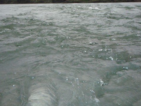 seyya7fu33jfgssoc5h3_480_480-16e04390.jpg