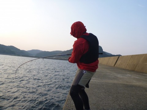 sez6v4a7dzm6paf6eso7_480_480-953e49ee.jpg