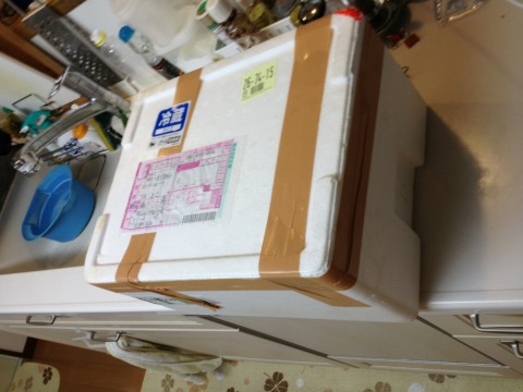 sf38pnd3wjrzx9cto554_920_690-a3522dd2.jpg