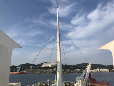 sf8prihrdgd6mmwsyo7b_480_480-8f7058f5.jpg