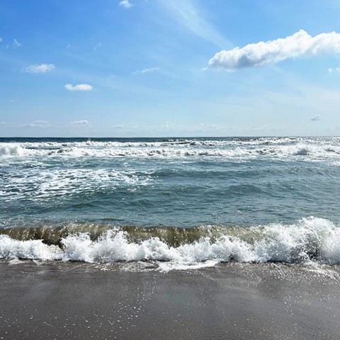 sfdwskzrdfkbwdfn9okf_480_480-c9378b66.jpg