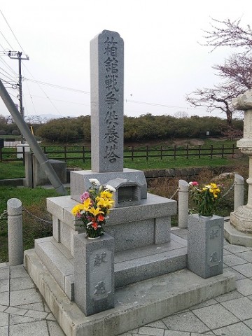 sfhahox2ndb66tsxu8kg_480_480-723897b0.jpg