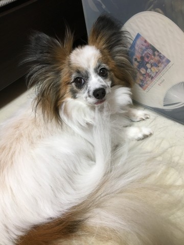 sfhkwsieo8vyejkm5oeb_480_480-ad6988bb.jpg