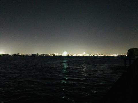 sfoabf94c5986y6f22nw_480_480-b9baa01f.jpg
