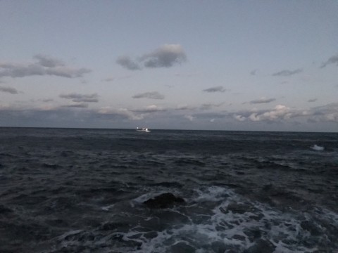 sfoev7p668x24m55z446_920_690-763ef7c0.jpg