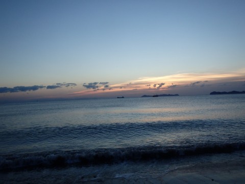 sfogoec6erkg6e95hy8o_480_480-f82313eb.jpg