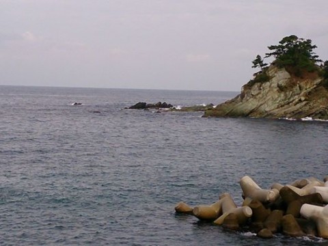 sfsz23kh3dd3wge44fia_480_480-f4fa0656.jpg